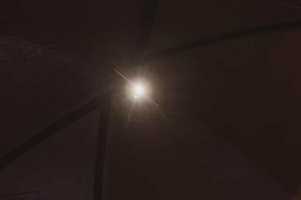 019d0e59-a8ed-7311-87a1-35981c51fb1e-0