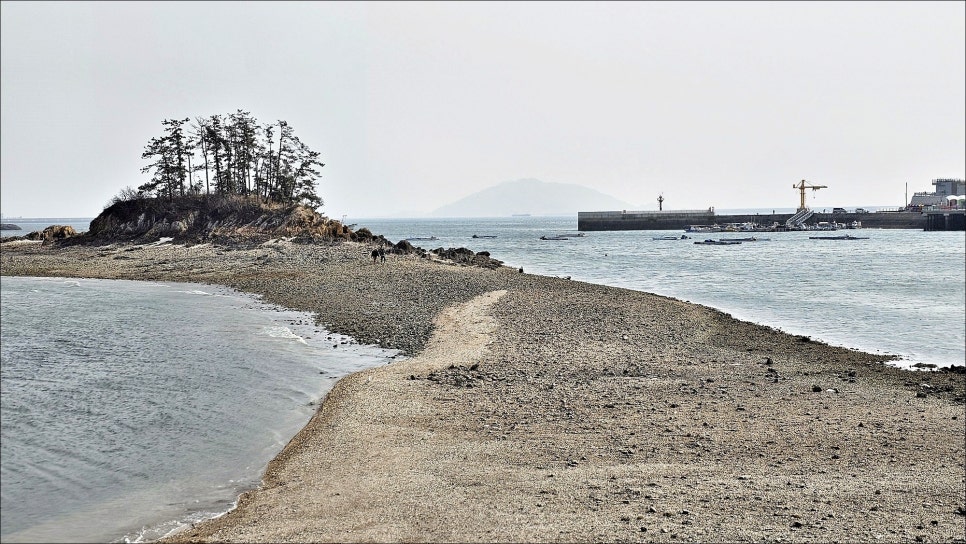 019d2d58-89e3-7340-a973-d084cfcc9e33-8