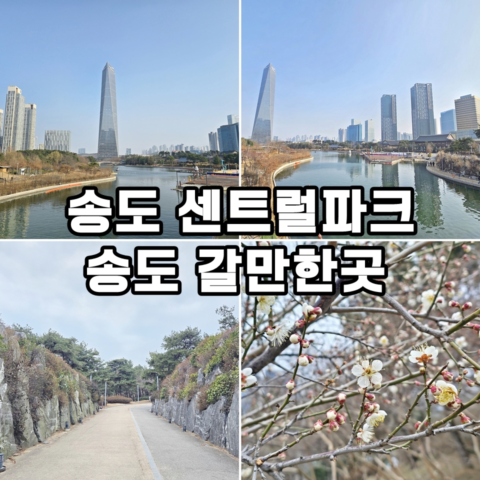 019d3279-c9c1-7a00-95fe-e5fcd7b6b1e1-2