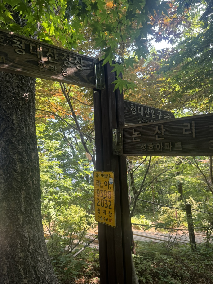 019f26bf-28ff-7871-ac67-a322b632e590-36