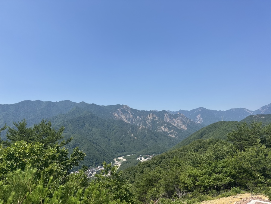 019f26bf-28ff-7871-ac67-a322b632e590-45