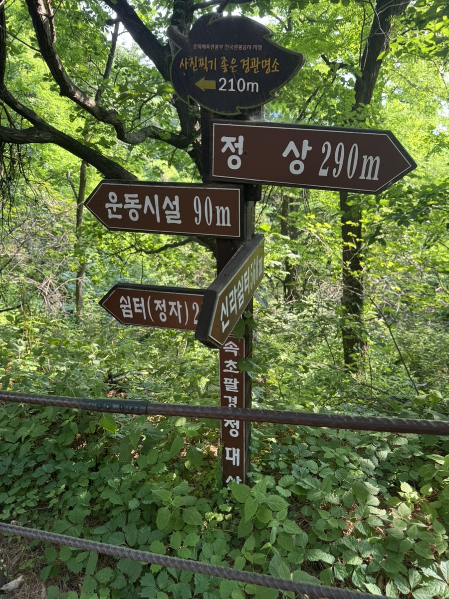 019f26bf-28ff-7871-ac67-a322b632e590-51