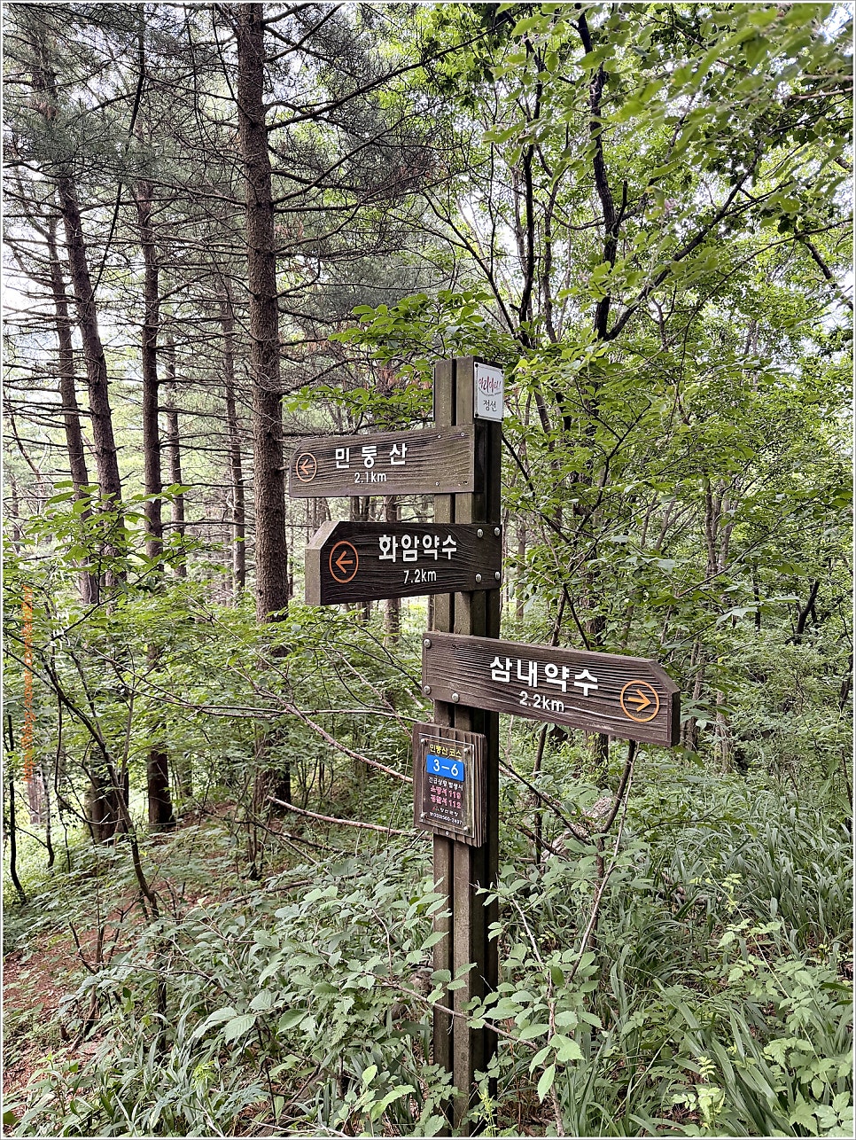 019f43ed-f167-71b3-854a-f886d5dac27c-74